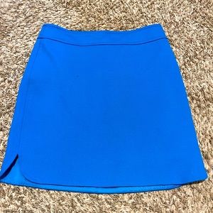 Ann Taylor Electric Blue Skirt
